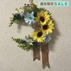 サマーリース Ｎｏ．5のサムネイル
