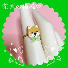 柴犬の指輪♡(フリーサイズ、金色金具)
