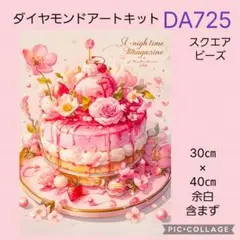 DA725★ダイヤモンドアートキット★スクエアビーズ