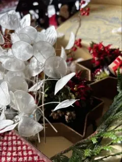 おきょうさん様 リクエスト 4点 まとめ商品