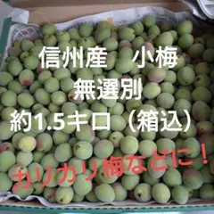 ⭕第2弾！そばかすあり！宮崎県産 無農薬 福じいちゃんの青梅 箱込み