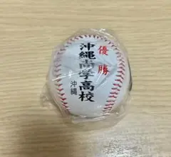 第107回全国高校野球選手権大会　優勝ボール　沖縄尚学　甲子園