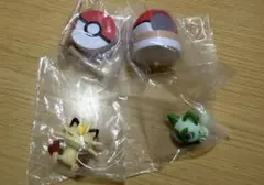 ポケモン わくわくアスレチック ニャース ニャオハ