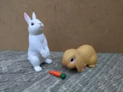 アニア AS-34 ウサギ
