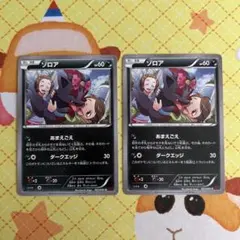 ポケモンカード ゾロア あまえごえ 041/059 2枚