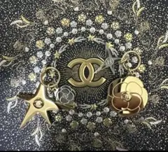 2025年最新】シャネルホリデーの人気アイテム - メルカリ