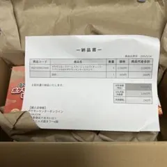 ポケモンセンターヒロシマ トウホク スペシャルBOXピカチュウセットのサムネイル