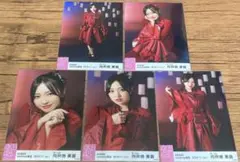 向井地美音netShop限定 2019.11 生写真 5枚 AKB48①