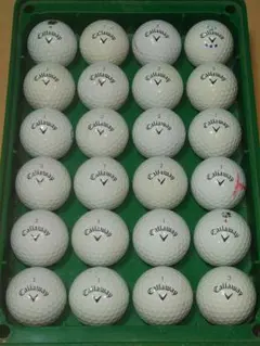 Item thumbnail for item f6e1d73c-154b-44a6-863d-76fa1b158d42