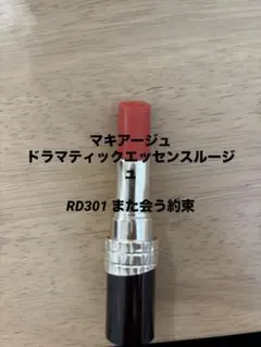 RD301 スティックリップ