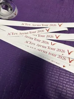 ACEes Arena Tour 2026 銀テープ10本