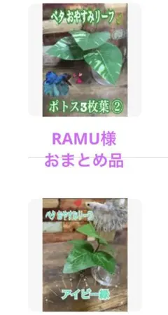 RAMU様 リクエスト 2点 まとめ商品