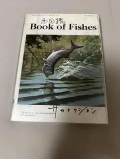 2026年最新】サカナクション 魚図鑑 3cdの人気アイテム - メルカリ
