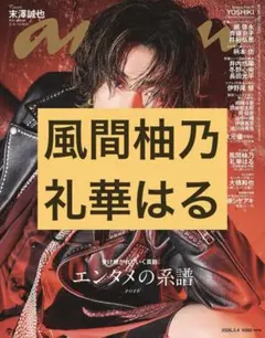 Item thumbnail for item 3c886b7f-b0c7-4944-aed5-bdd1ae66147a