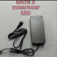 BLAZE EV DELIVERY 充電器 - メルカリ