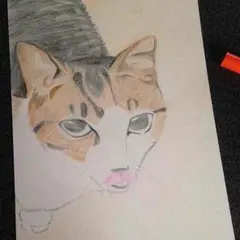 颯馬ママ様専用