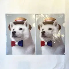 Item thumbnail for item e7ce4cf5-4df9-400f-971d-c9bbe3169e1c