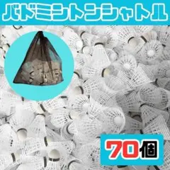 Item thumbnail for item 1ee54bfc-f108-4e3c-bff7-6887392ec4d8