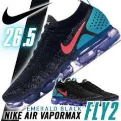 2025年最新】nike air vapormax flyknit 2 29の人気アイテム
