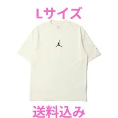 【送料込み】ナイキ エアジョーダン フラグメント ユニオン Tシャツ Lサイズ