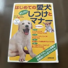 Item thumbnail for item 49193bad-b7b7-4aa2-b538-6116baea0d10