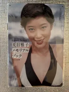 Item thumbnail for item 0e07f3a3-2ab4-447a-a41e-75885ccff0f0