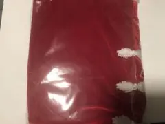 サンタ コスプレ