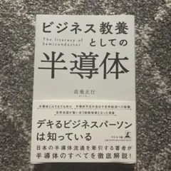 ビジネス教育としての半導体