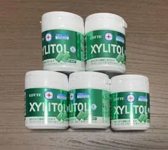 キシリトールガム　ライムミント　XYLITOL ファミリーボトル　ロッテのサムネイル