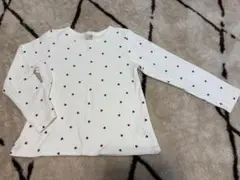 プティマインロンt