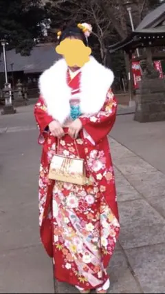 成人式振袖フルセット