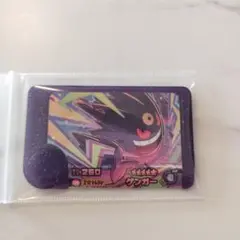 포켓몬 フレンダ 팬텀 スーパーレジャー
