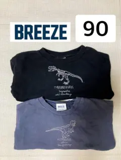 BREEZE ブリーズ　恐竜　トレーナー　90 2枚セット