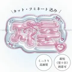 ぷっくり ネームボード うちわ文字 ジフン TWS ネムボ