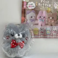 Item thumbnail for item ca12a104-5752-4966-8107-790593560313