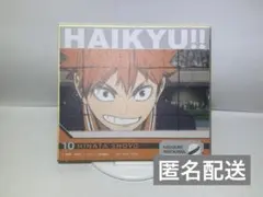 一番くじ 劇場版ハイキュー!! ゴミ捨て場の決戦２　日向翔陽