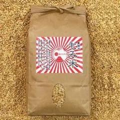 ゆきじ様専用】まんぷく応援米 福岡県産米 20kg 白米 送料無料 - メルカリ