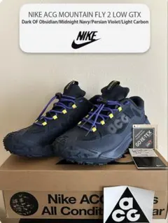 Item thumbnail for item e01655c2-eca4-413a-bcc5-56e9eeda729f