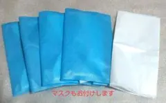 Item thumbnail for item 8456662b-7fb9-4254-be5f-bf8aef53400d