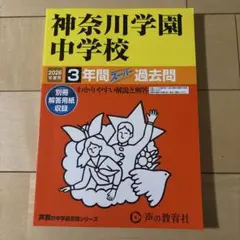 Item thumbnail for item 45b49e86-c144-4dd6-a702-bce960e89c4f