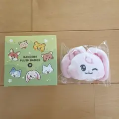 dreamiez アイドル