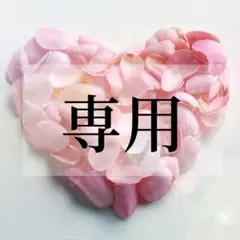 のぎちるくん様専用