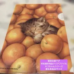 Item thumbnail for item 296b78ea-f11a-4b4b-8d9c-217f05b78114