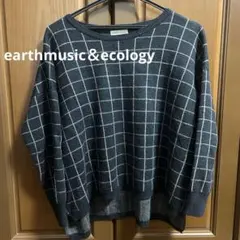earth music&ecology チェック柄 長袖 ニット Fサイズ
