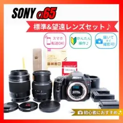 2026年最新】sony α65の人気アイテム - メルカリ