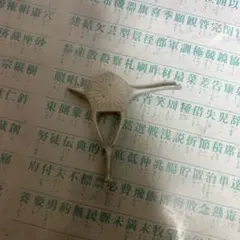海で拾いましたイルカの背骨？らしいです。