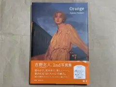 Item thumbnail for item 422d2346-1c74-4abb-bfc8-5b2262ca42cc