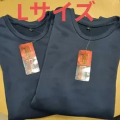 Item thumbnail for item 4c9b0da0-8264-4e29-a28e-4ac3935086d3