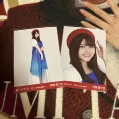 乃木坂46 生写真 マリンルック 伊藤理々杏 ヒキヨリ セミコンプ