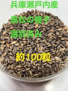 ミキオ様 リクエスト 2点 まとめ商品